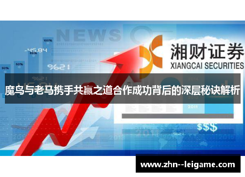 魔鸟与老马携手共赢之道合作成功背后的深层秘诀解析