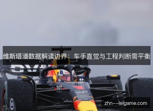 维斯塔潘数据解读边界：车手直觉与工程判断需平衡